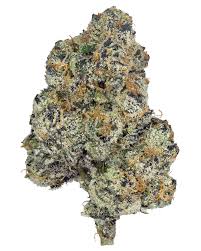 FAVRD Mendo Runtz Prepacked