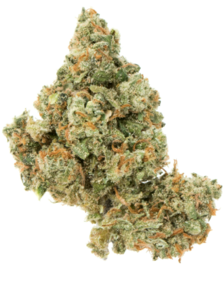 Jack Herer Bulk Flower