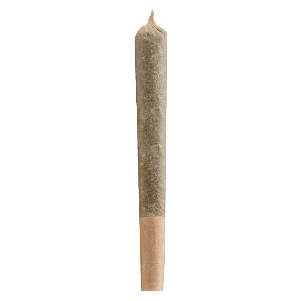 Indica Pre-Roll