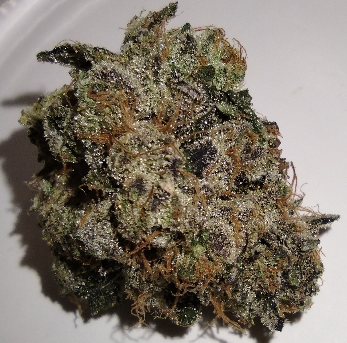 Dakota Natural Growers - Scroopy Noopers - 3.5g - Flower