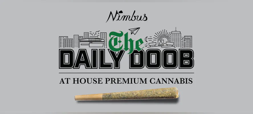 Jack Skunk #1 Pre-roll