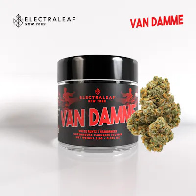 Van Damme