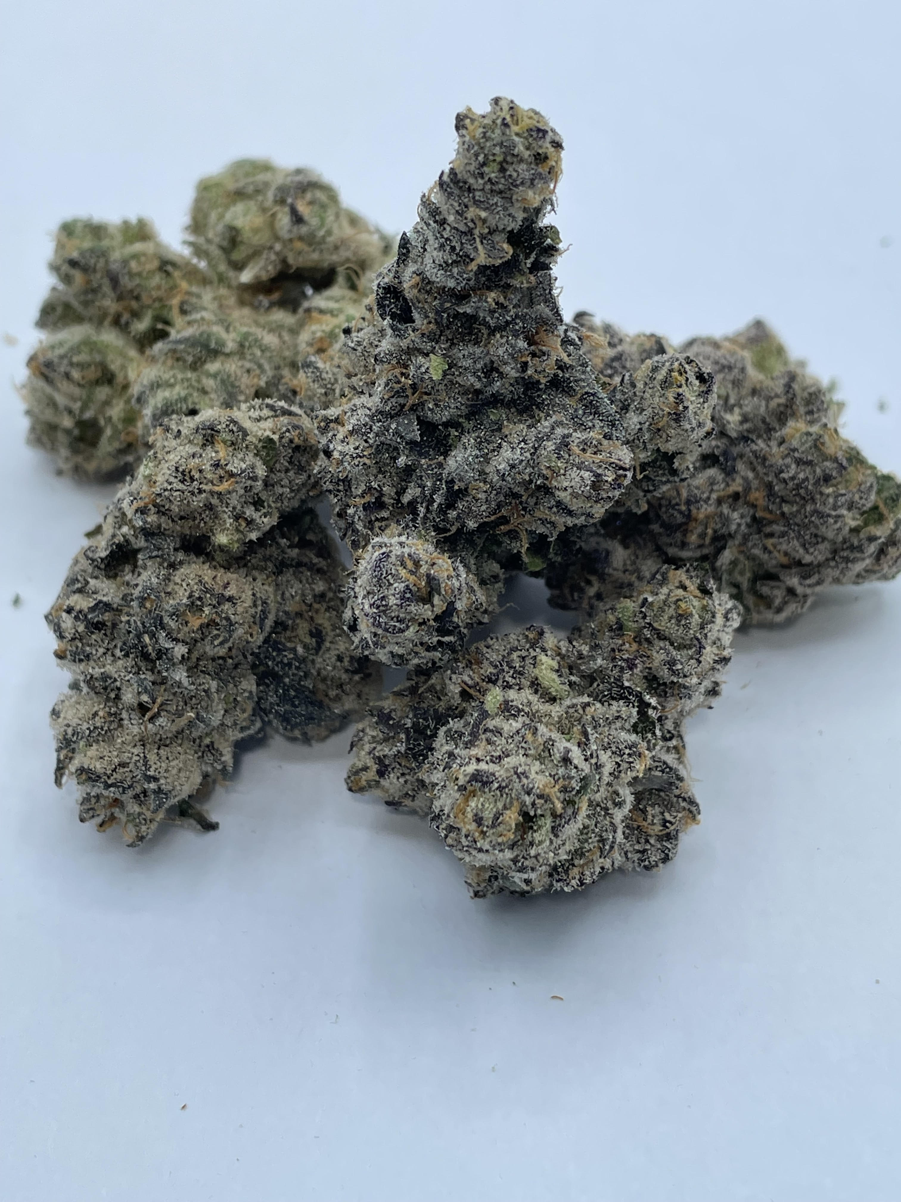 Hawaiian Skunk