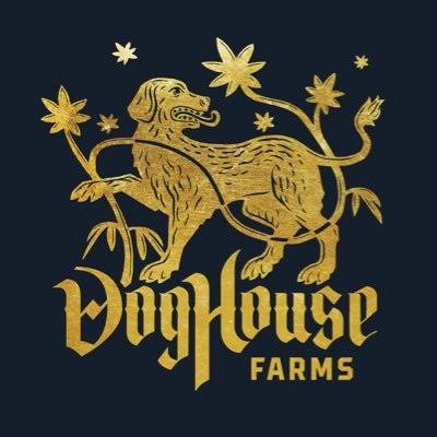 Dog House Blue Float