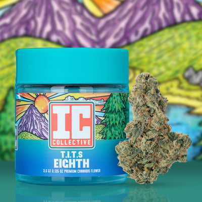 Connoisseur Shelf IC Collective T.I.T.S (H)