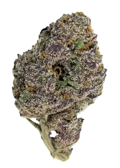 Berry Blizzard Glitter Bomb