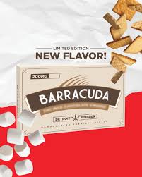 Edible | Milk Chocolate S'mores | 200mg | Barracuda Bar