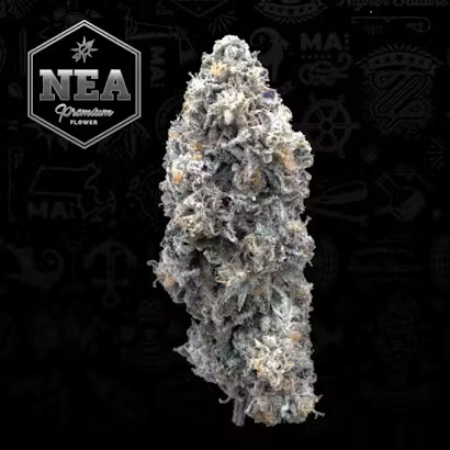 Nea Street Tartz
