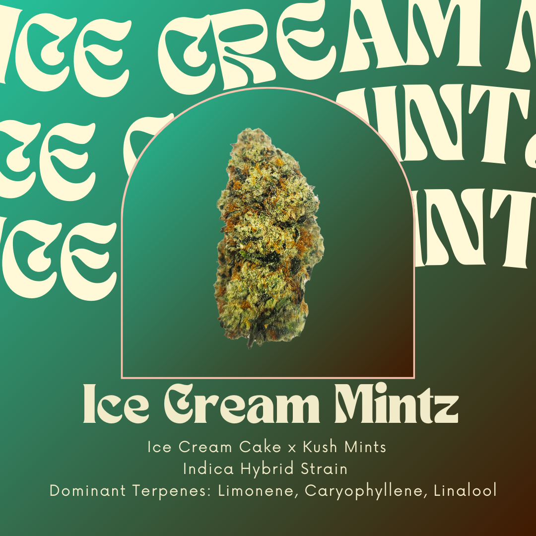 Ice Cream Mintz | Shake Oz | The Hive