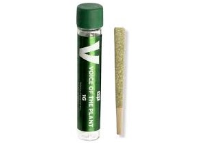 Kush