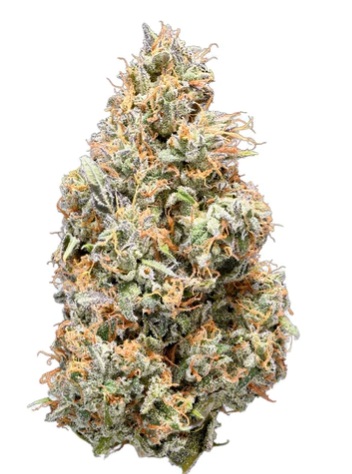 Broken Coast - BC Selects Pineapple Marker 143 Flower - Sativa