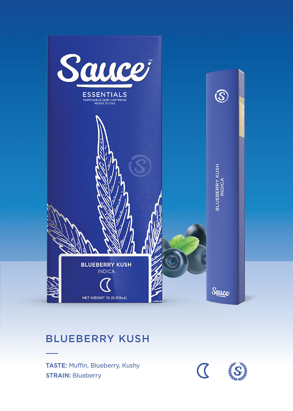 DISPOSABLE | 1G | BLUEBERRY KUSH