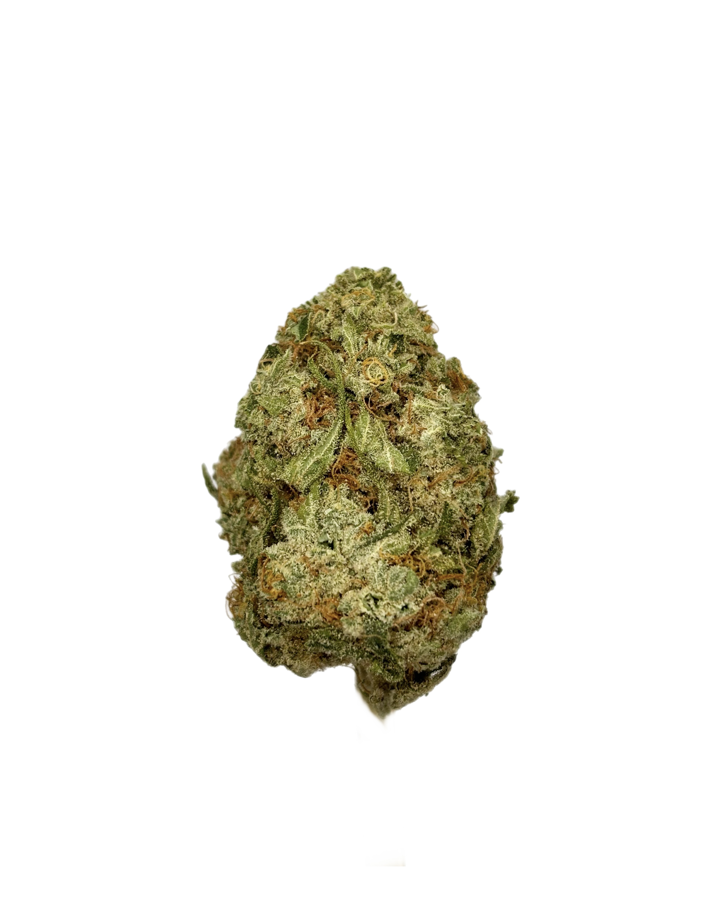 Carbon | Gak | Bulk Flower | White Tier