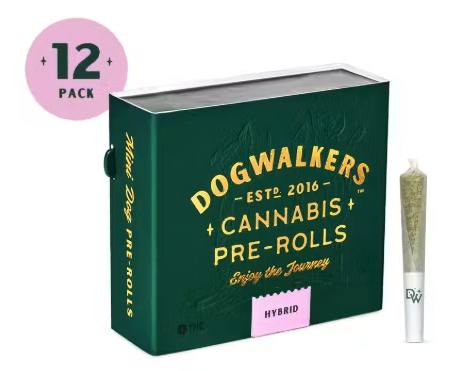 (24637) 4.2g Casino Kush Preroll 12 pack