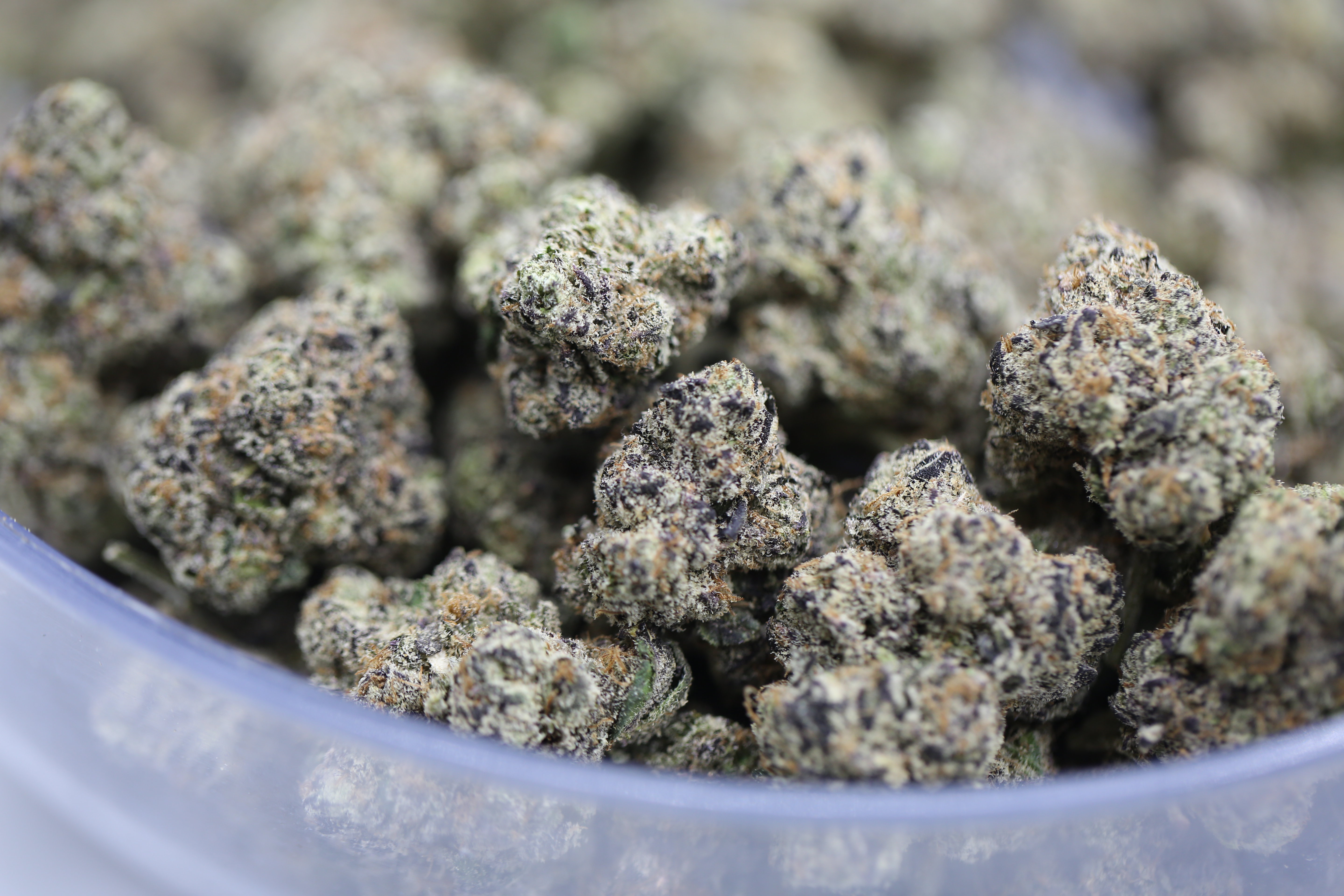 Wedding Cake - Bulk Flower