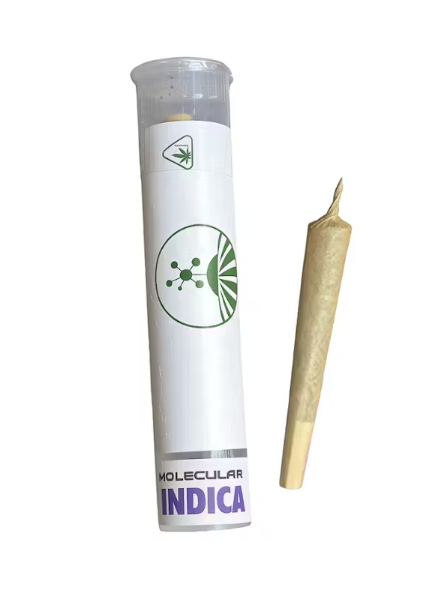 PreRoll: Dodi