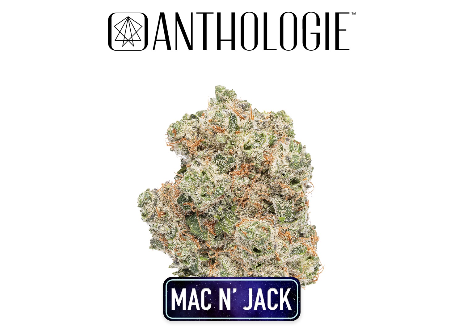 Anthologie Mac N Jack Flower 3.