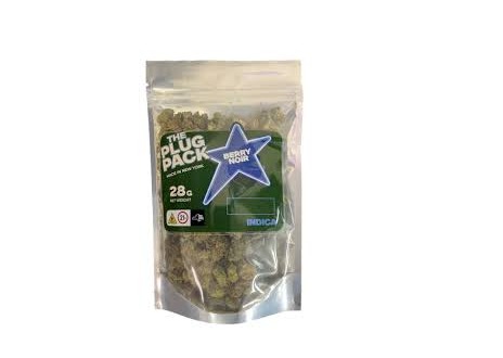 The Plug Pack - Berry Noir - 28g