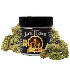 Jack Herer Reserve: Original Jack Herer Select
