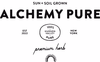 ALCHEMY PURE - CEL RAY - 0.7G - DIME