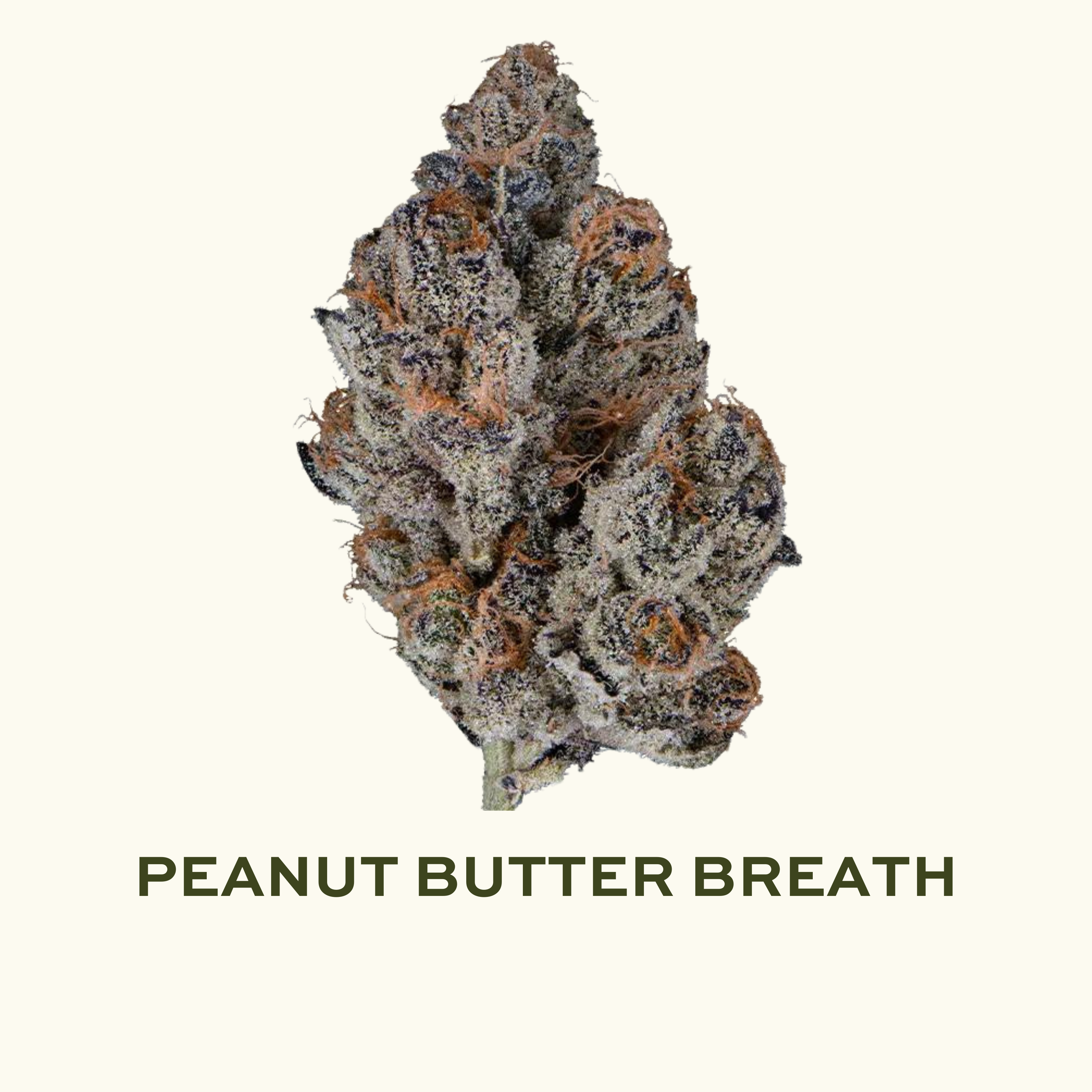 STX - Peanut Budder Breath