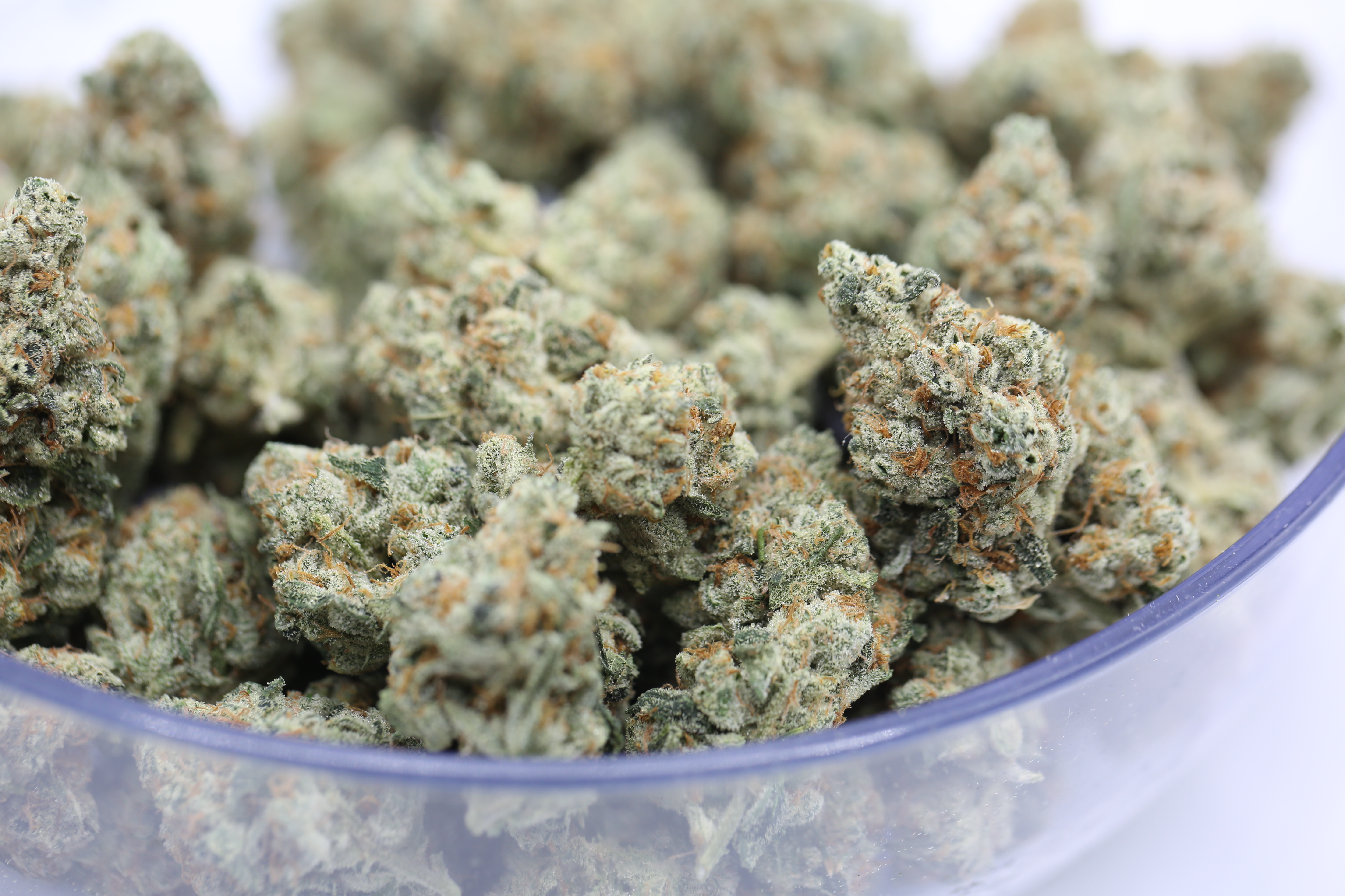 North Star OG Bulk Flower