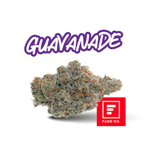 Fade Co Prepack Guavanade