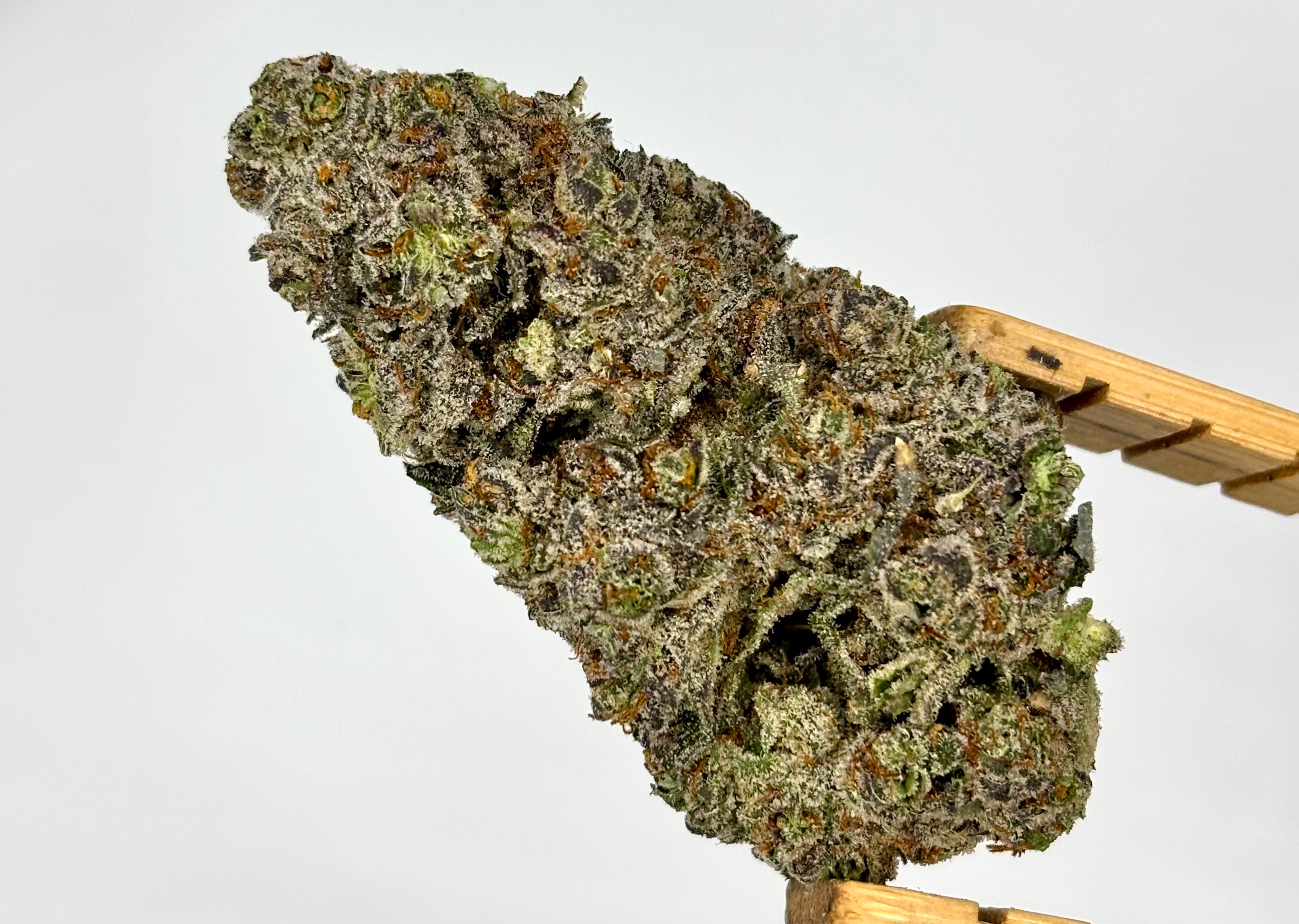TruSmoke | Smackerz | Bulk Flower | Yellow Tier