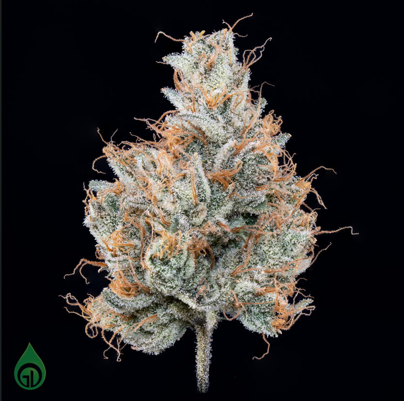 GDL Black Label Flower (3.5g) | Lemon Butter Rum