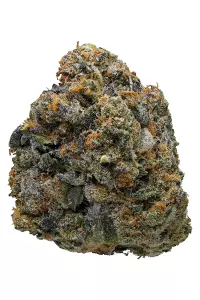 Gelato Sherbert | Indica | Bulk Flower | Bronze