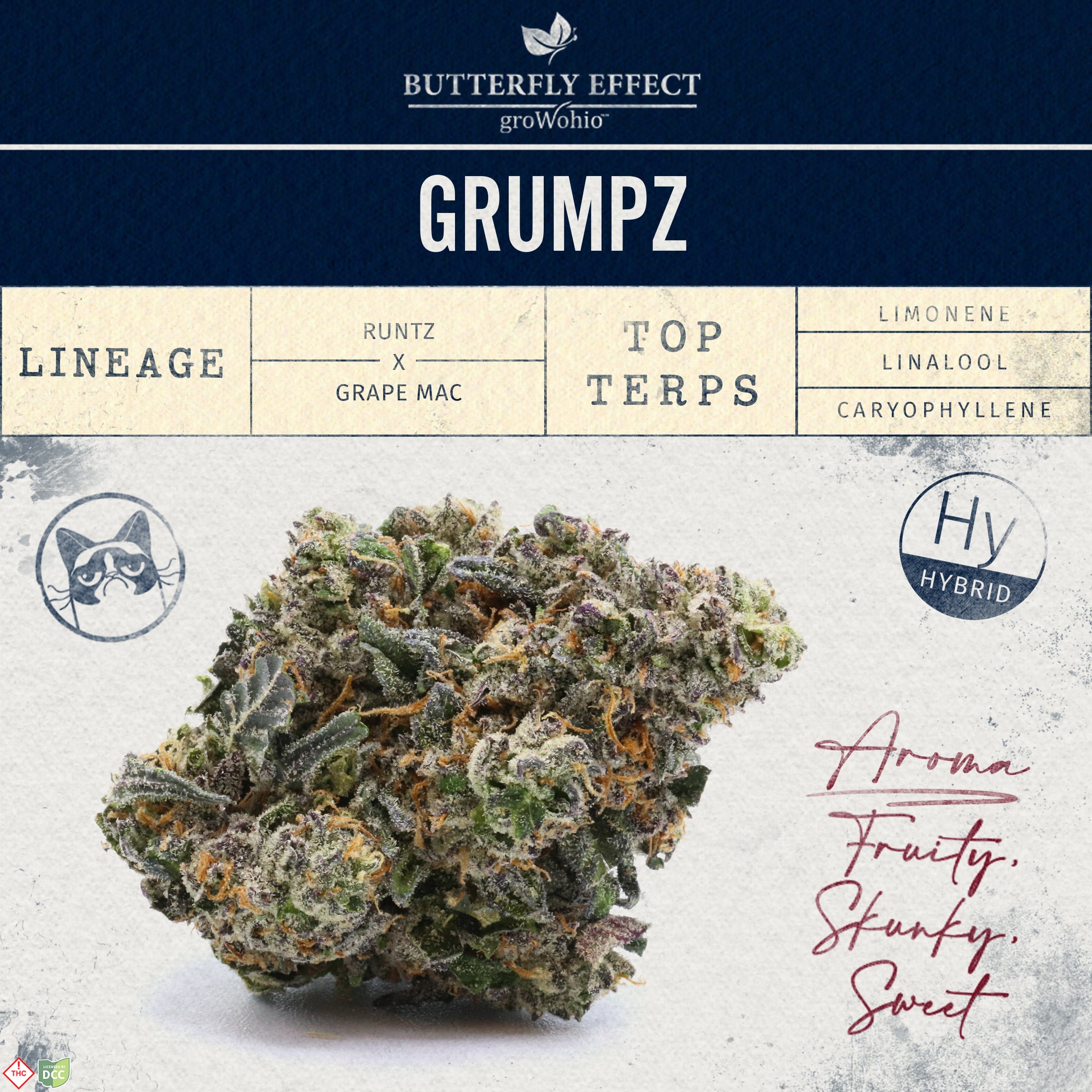 Butterfly Effect - GRMPZ Budlets - Flower - 14.15g