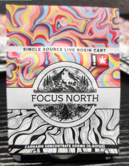 Focus North Gardens: Wedding Pie