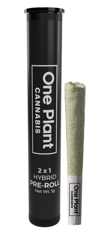 Block Party Pre Roll 0.5g