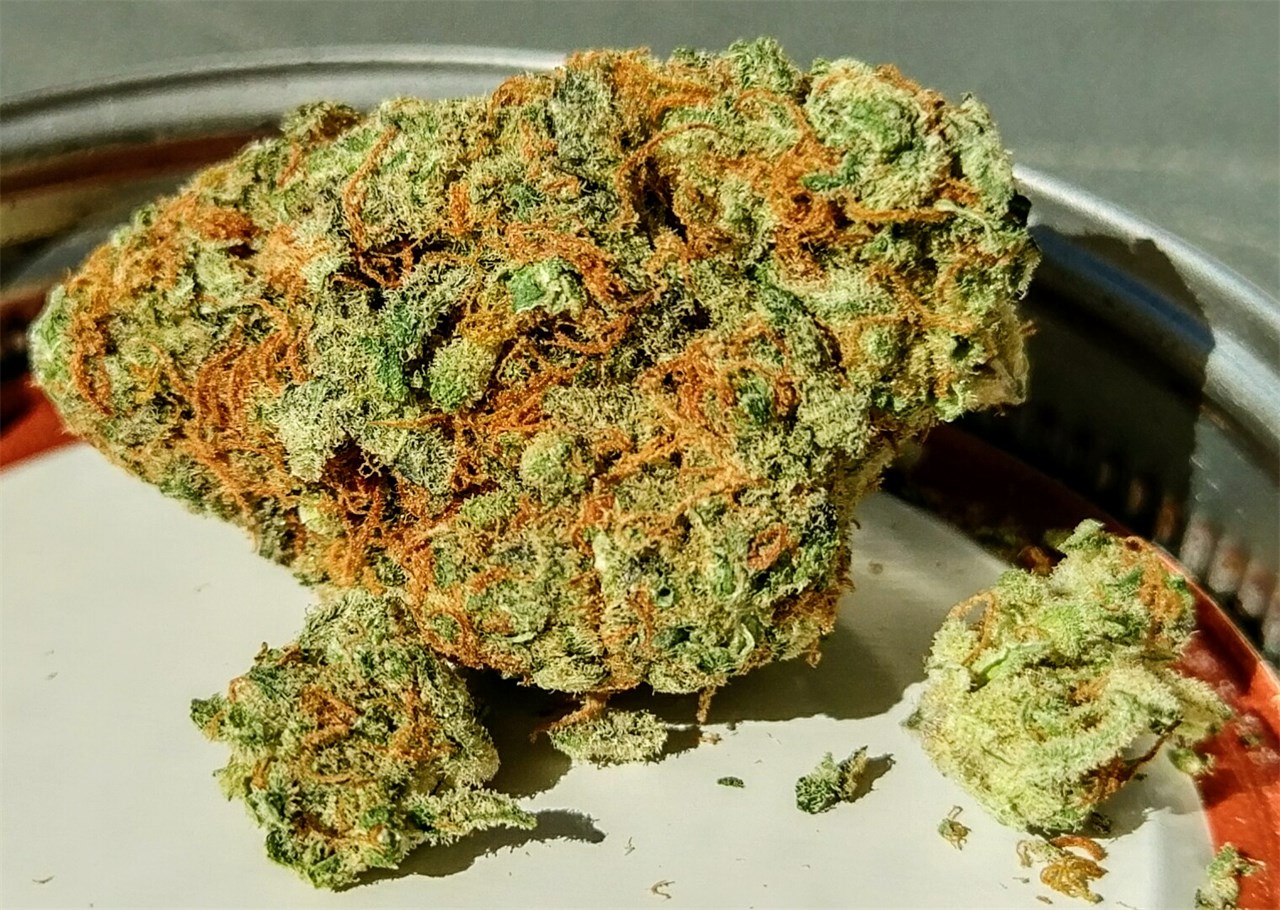 Flower | Sour Tangie