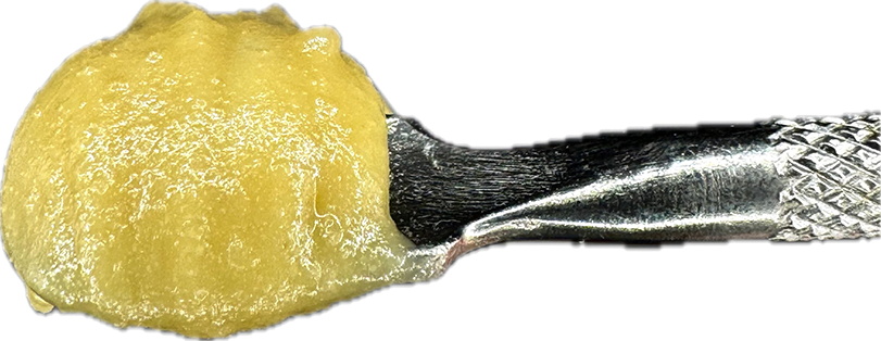 Grease Monkey Deli Style Live