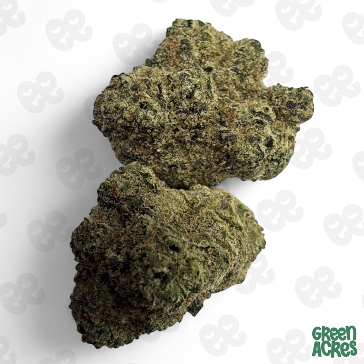 (H) Weed Snobs: Sour Runtz (I)