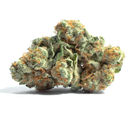 Shaka Prepack (1/8 oz) Hypothermia #1
