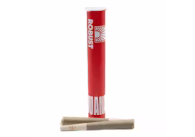 Citrus Slapz | 0.5g - 2pk (1g) Prerolls
