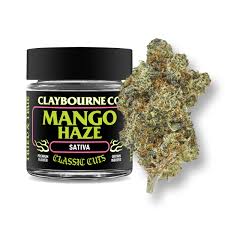 Mango Haze
