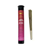 Tropic Thunder Infused Preroll | 1.25g
