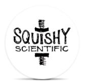 Rosin Canal Street Runtz