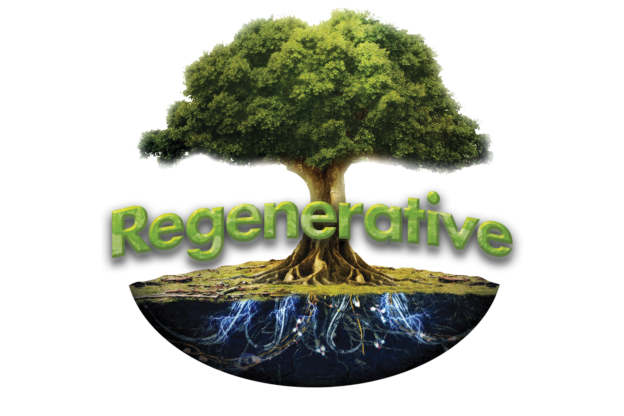Regenerative