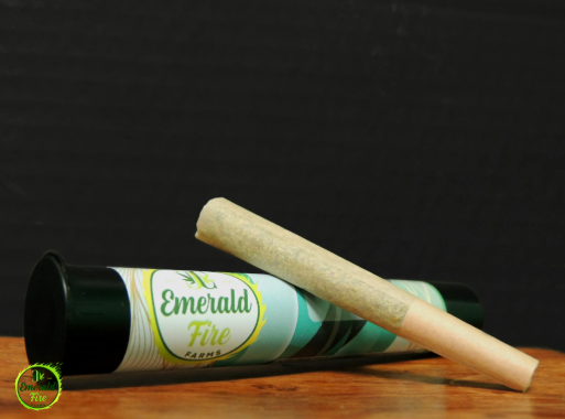 EmeraldFire - Brewster Burner 1G Infused Pre Rolls
