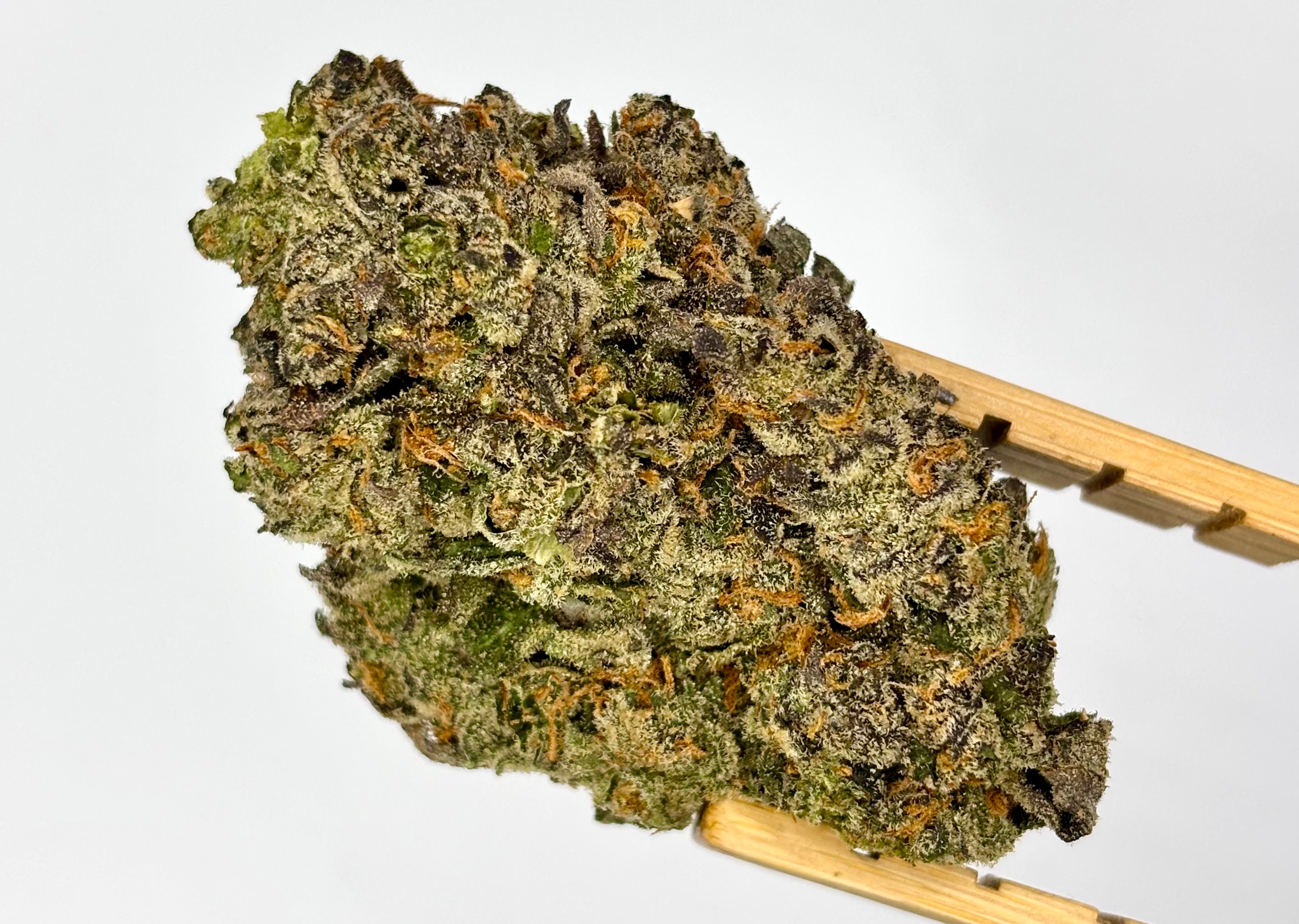 GLORIOUS CANNABIS | FROSTED TRUFFLE PIE | BULK FLOWER