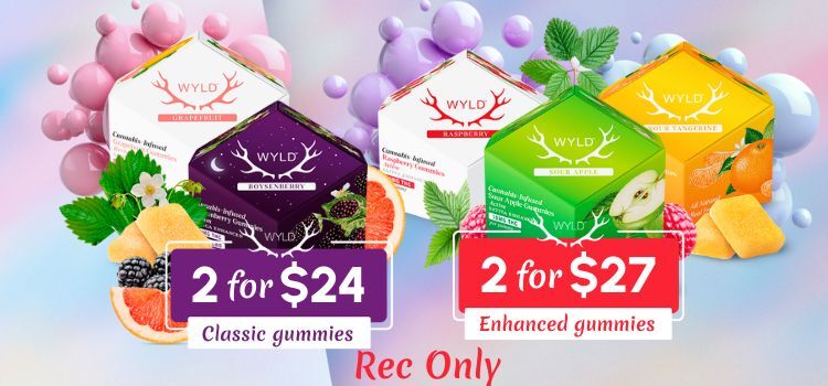 Sapura | Rainbow Belts Full Flower Pre-Roll