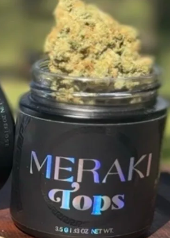 Flower Hybrid; Rozay Rain