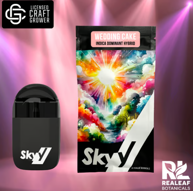 Wedding Cake - Disposable