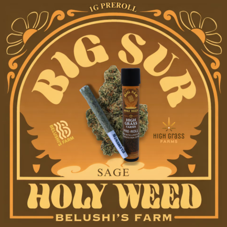 Big Sur Holy Weed - Sage - Preroll