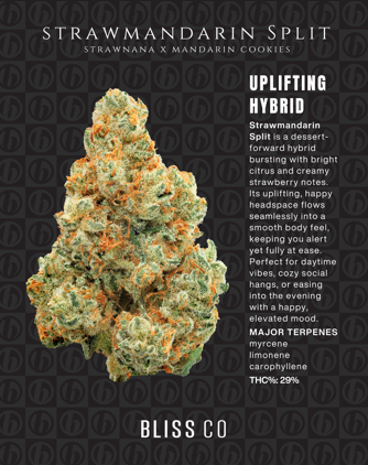 Bliss Co  Buds | Strawmandarin Split