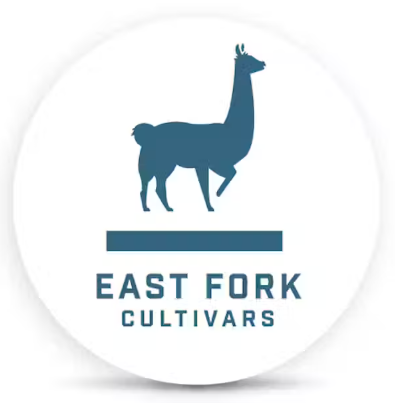 East Fork Cultivars: Balance Kush Petals - - East Fork Cultivars